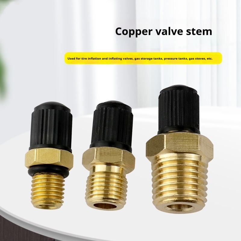 M8 1/8 1/4 NPT Brass Air Valve - đánh giá và giá Tire Inflator Nozzle Kit